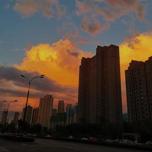 草莓视频在线观看视频在线
