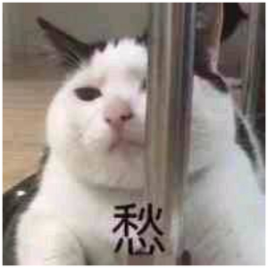 草莓视频在线观看视频在线
